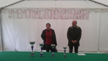 Immagine  