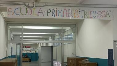 Immagine  