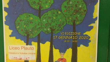 Immagine  